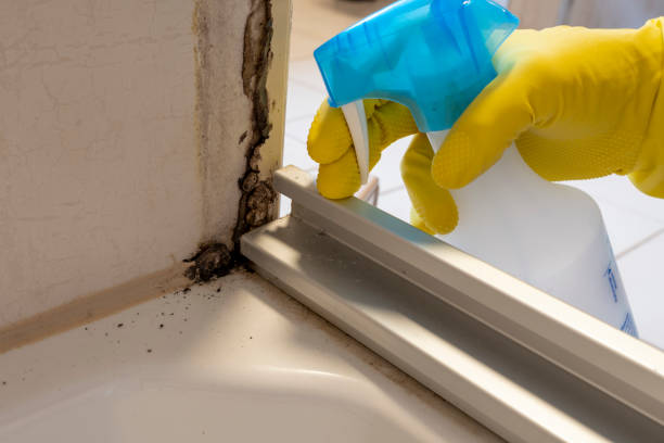 Best Commercial Mold Remediation in Susan Moore, AL